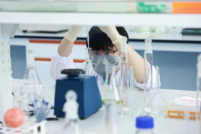 Rust Remover Testing suppliers
